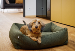 ortopedick� pelech Teddy Boucl� velikost S 2 - pohled 1 - www.shopdog.cz