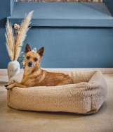 ortopedick� pelech Teddy Boucl� velikost S 3 - pohled 1 - www.shopdog.cz