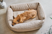ortopedick� pelech Teddy Boucl� velikost S 3 - pohled 3 - www.shopdog.cz
