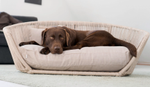 designov� postel pro psa Smooth 1 - pohled 7 - www.shopdog.cz