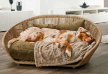 designov� postel pro psa Vogue Oxford 1 - pohled 3 - www.shopdog.cz
