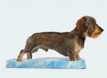 ortopedick� pelech pro mal� rasy Portofino velikost M - pohled 7 - www.shopdog.cz