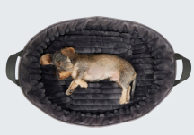 pelech pro mal� rasy Deluxe velikost M 2 - pohled 4 - www.shopdog.cz