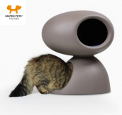 designov� postel, jeskyn� pro ko�ky 2 - pohled 2 -  www.shopdog.cz